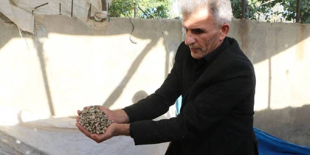 Peynirden sakıza, yemekten kahve yapımına! Kullanım alanı da yetişme alanı da geniş: Kilosu 700 TL 5